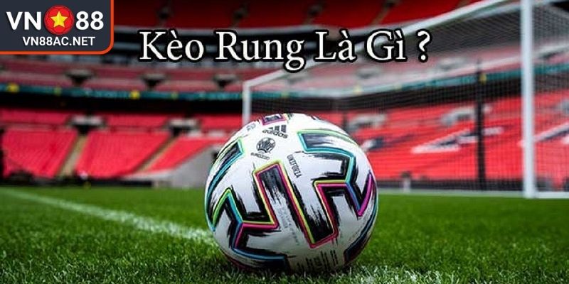 Tổng quan về hình thức kèo rung VN88
